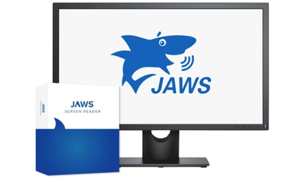 JAWS Pro �T�u�X�N3�N