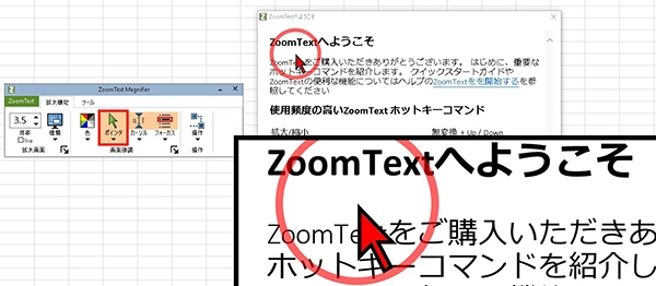 ZoomText 2022 ＋ リーダー日本語版 （リーダー付き３バージョンアップ以上）